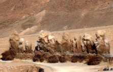 آغاز مطالعات اولیه اکتشاف عمیق در دو معدن سنگ آهن