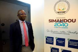           گینه توسعه پالا...