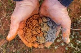           سرمایه‌گذاری شر...