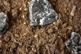           مگنوم پروژه عنا...