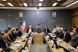           مدیرکل صمت: حما...