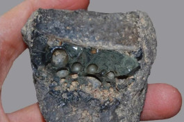           محققان دانشگاه...