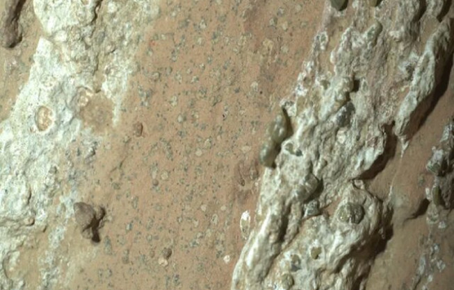 کشف نشانه احتمالی حیات باستانی در مریخ