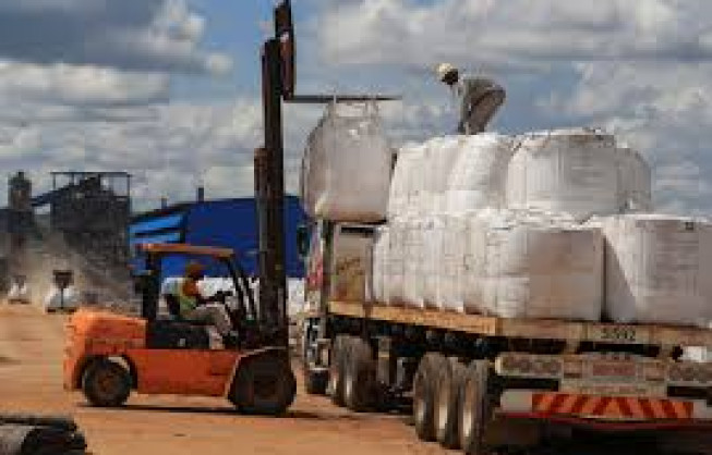 Zimbabwe softens stance on local lithium processing after price collapse