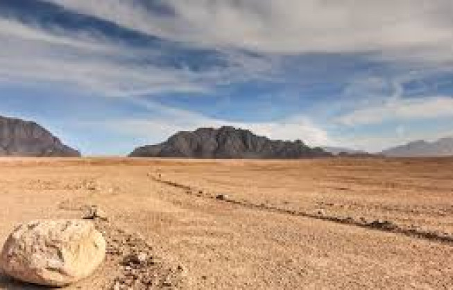 Afghanistan says China seeks its participation in Belt and Road Initiative