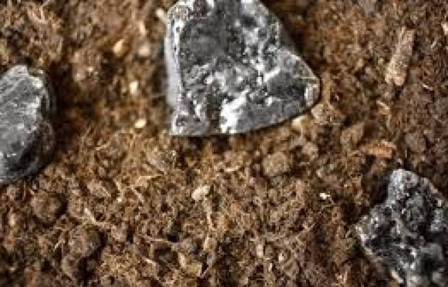 Magnum to acquire Wet Mountains rare earth project in US