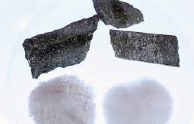 رونق ذخیره‌سازی انرژی، چشم‌انداز تقاضای لیتیوم را تقویت کرد