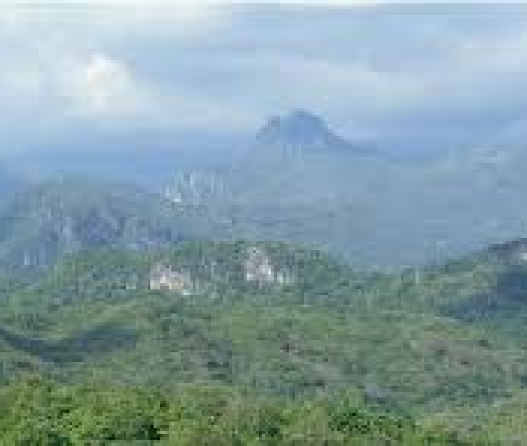 Minaurum drills high-grade silver at Alamos project in Mexico
